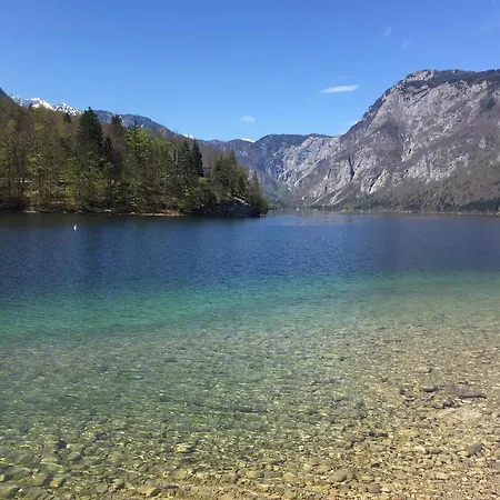 Počitniška hiša Holiday