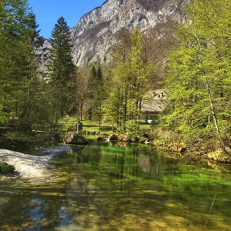 Holiday Počitniška hiša