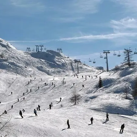 Počitniška hiša Holiday
